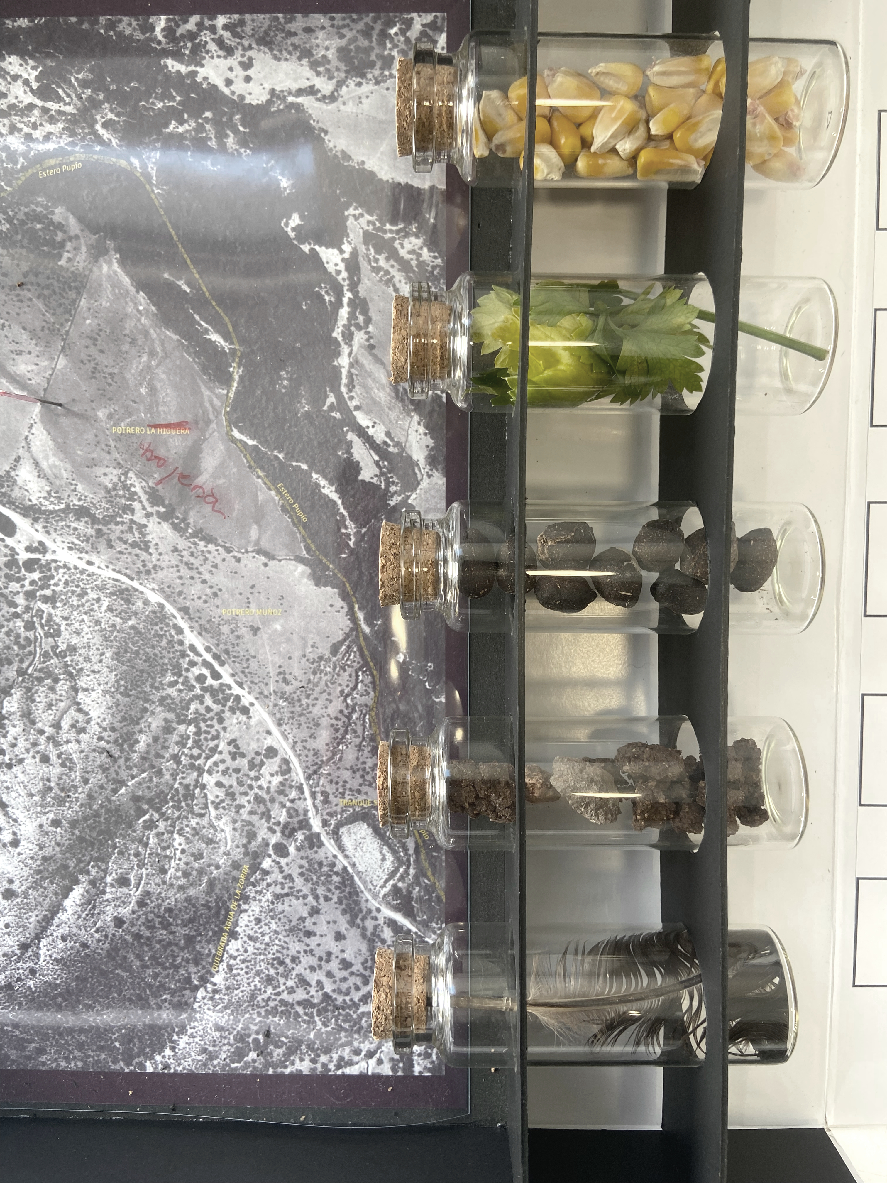 Detalle 2 Maqueta Mauro